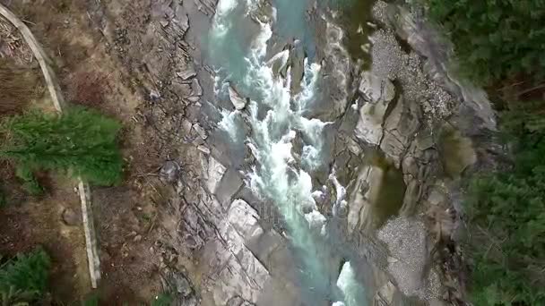 Río de montaña que fluye a través de piedras — Vídeo de stock