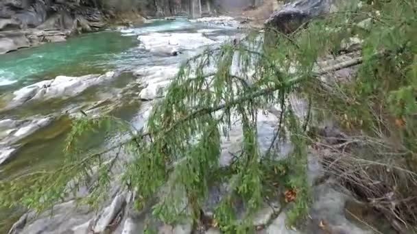 Güzel manzara dağ nehir köprüsü — Stok video
