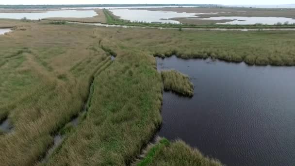 belle vue sur le lac envahi par les roseaux 