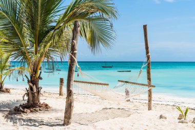 palmiye ve hamak mavi gökyüzü ile Zanzibar plaj ve okyanus arka planda