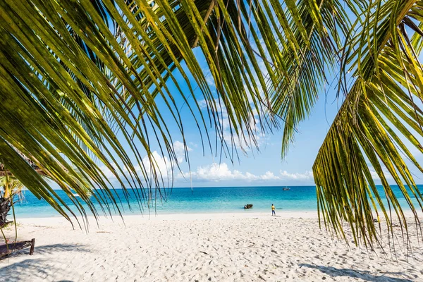 Красивый морской пейзаж с пальмовыми ветвями — стоковое фото