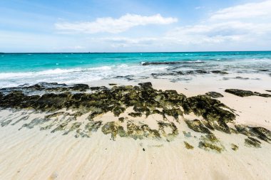 Taşlı deniz kıyısı ve arka planda mavi gökyüzü ile temiz su
