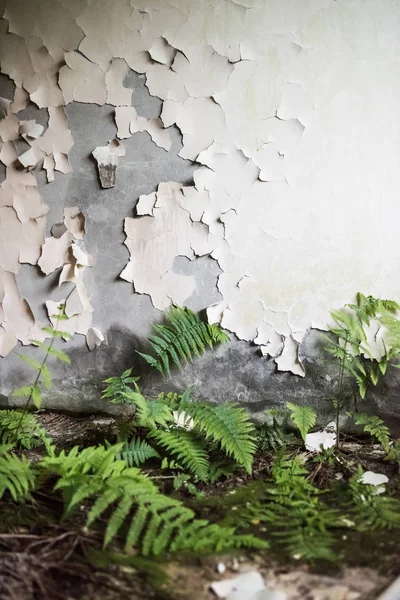 Detritos na escola abandonada em Pripyat — Fotografia de Stock