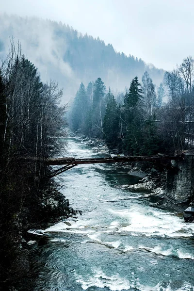 Malerische Landschaft mit Fluss in den Bergen — Stockfoto