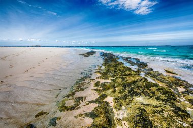 Taşlı deniz kıyısı ve arka planda mavi gökyüzü ile temiz su