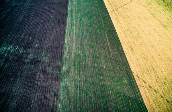 Três seções coloridas de campo no campo — Fotografia de Stock