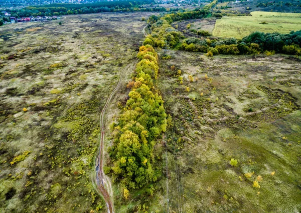 Vorort-Feld mit Bäumen und gerollter Straße — Stockfoto