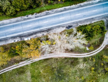 Asfalt ağaçları ile izlemek ve bir tarafta yol alındı