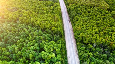 Hava ateş orman ve yol