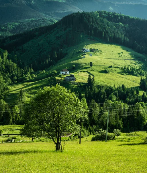 Mooie zomerse monntain landschap — Stockfoto