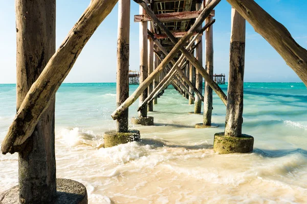 hala köprü okyanusa bakan ağaçtan