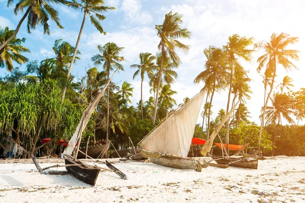 yelkenli tekne ile okyanus sahilinde oturan gemi direkleri