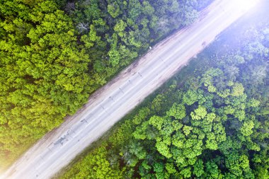 Hava ateş orman ve yol
