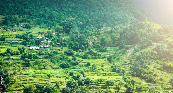 Yeşil dağ alan pirinç Nepal — Stok fotoğraf