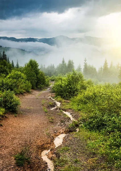 Path leading to fog mountains — Stock Photo, Image