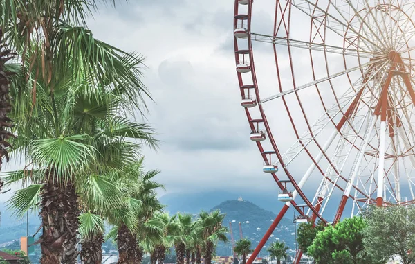 Riesenrad mit grünen Palmen — Stockfoto