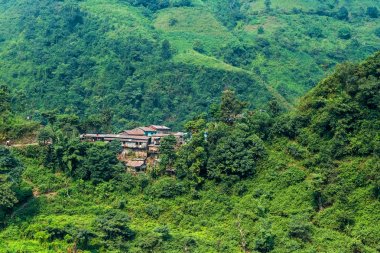 Nepal ormandaki küçük bir köy
