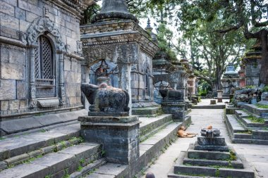Katmandu 'daki Pashupatinath tapınağı kompleksi