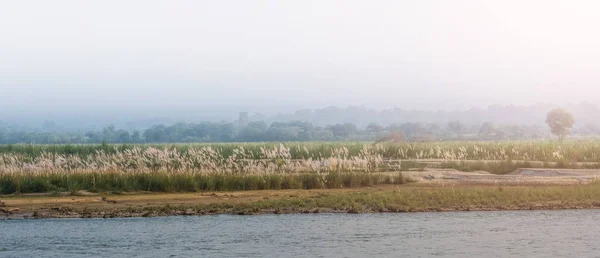 Parque Nacional de Chitwan paisaje, Neplal — Foto de Stock