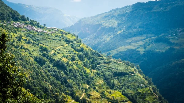 尼泊尔的绿山稻田 — 图库照片