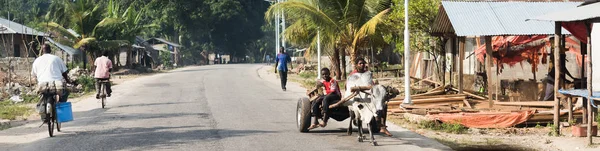 Yerel halk Zanzibar ve onların ulaşım — Stok fotoğraf