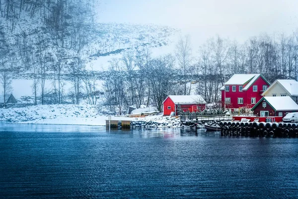 Noorse fjorden in de winter — Stockfoto