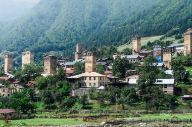 Kuğu havlu Mestia, Svaneti bölgesi, Georgia