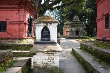 Katmandu 'daki Pashupatinath tapınağı kompleksi