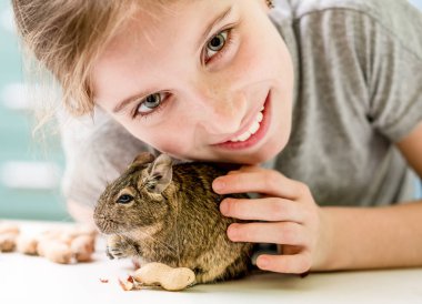 Degu sincabı olan genç bir kızın portresi