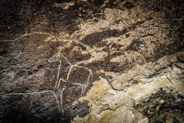 Fragment of petroglyph in Gobustan, — Stock Photo, Image