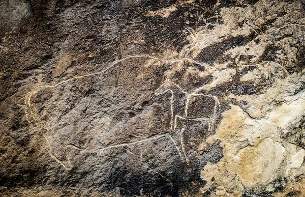 Fragment of petroglyph in Gobustan, — Stock Photo, Image