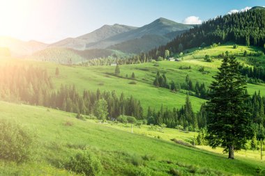 güzel yaz monntain manzara