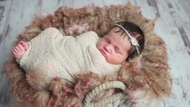 Μικρό κορίτσι αποκοιμήθηκε στο μαλακό γούνινο καλάθι — Αρχείο Βίντεο