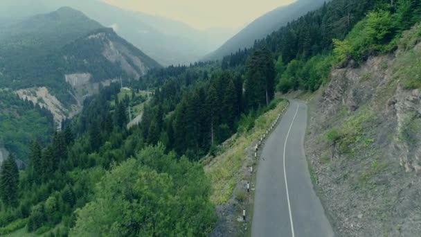 Drone 4k Shoting de la route parmi la forêt de pins — Video