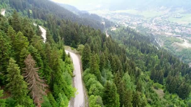 Drone 4k rodaje de la carretera entre el bosque de pinos — Vídeo de stock