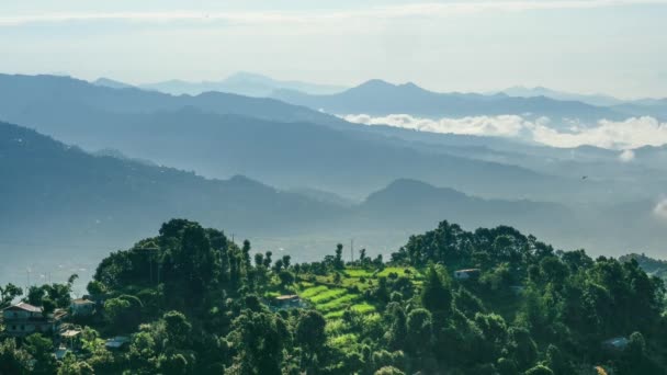 Время зеленого леса в горах. Непал — стоковое видео