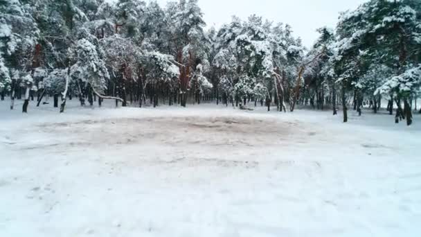 Vista aérea del claro de nieve — Vídeos de Stock