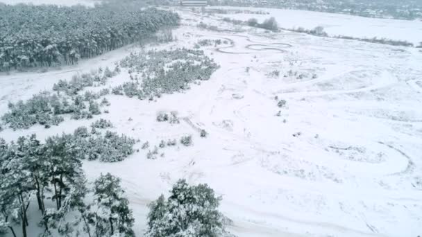 Вид с воздуха на зимний пейзаж — стоковое видео