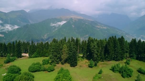 Aerial view of picturesque valley in mountains — Stock Video
