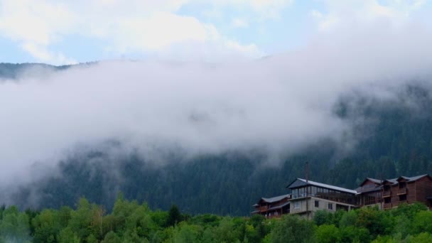 Grüne Kiefernwälder mit dichtem Nebel, Mestia, Georgien — Stockvideo