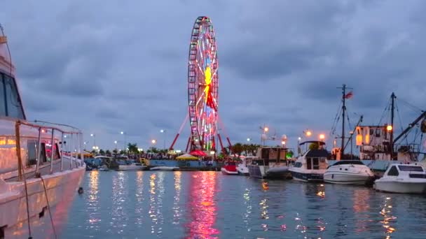 Roda gigante iluminada refletida na água — Vídeo de Stock