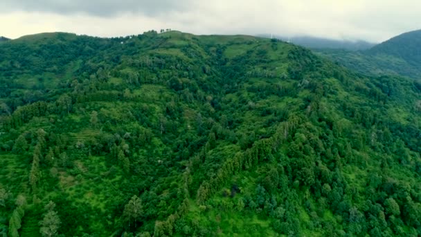 Images aériennes de drones de forêt — Video