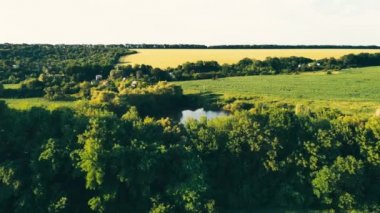 Tarlalar ve ormanlar arasında gölet