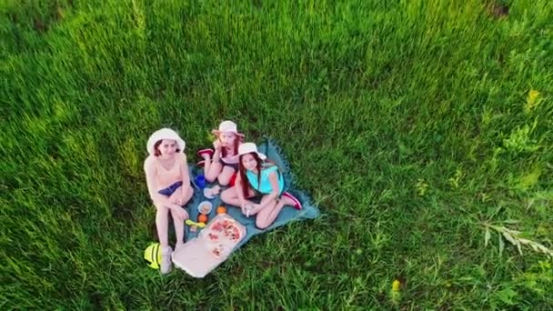 Picnic familiar sobre hierba verde — Vídeos de Stock