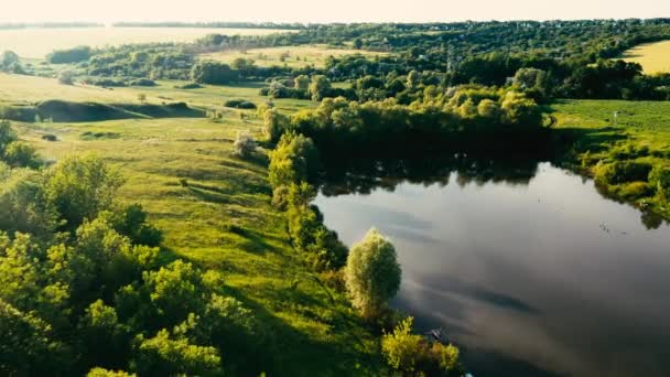 Vijver tussen velden en bos — Stockvideo