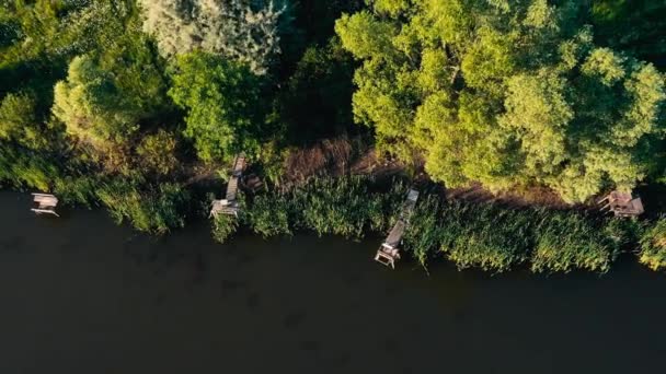 Lagoa entre campos e floresta — Vídeo de Stock