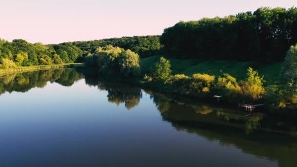 田野和森林之间的池塘 — 图库视频影像