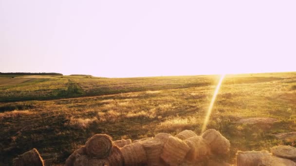 Prairie d'été avec des meules de foin — Video