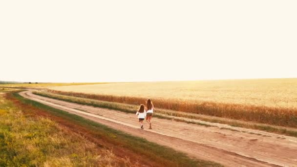 Twee kleine peuters rennen op een landweggetje — Stockvideo