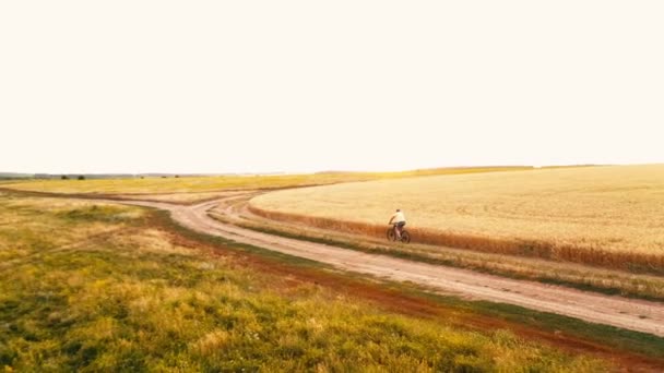 Letní kolová pole a dospělí na kole — Stock video
